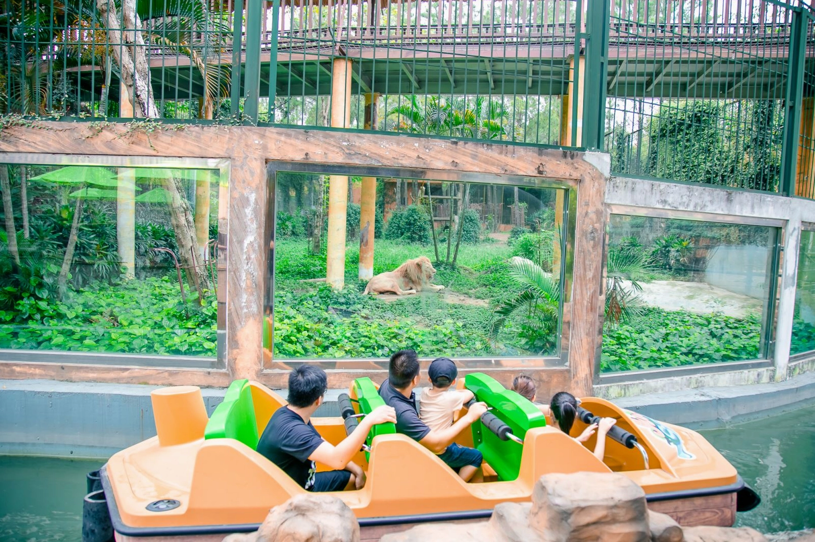 Tổ hợp Safari tại Thiên Đường Bảo Sơn (Lưu ý: Đây là ảnh minh họa cho một địa điểm khác, không phải Ecopark)