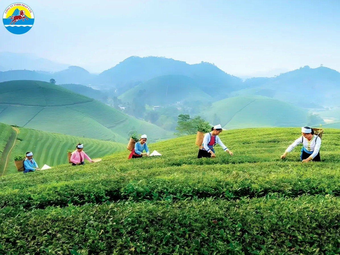 Trải nghiệm du lịch Thái Nguyên đa dạng