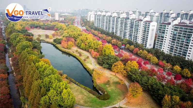 Trải nghiệm lễ hội hoa phong cách Châu Âu ngay giữa lòng Hàn Quốc