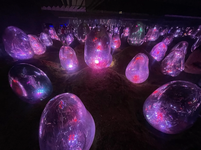 Trải nghiệm nghệ thuật tại Teamlab Planet, Nhật Bản