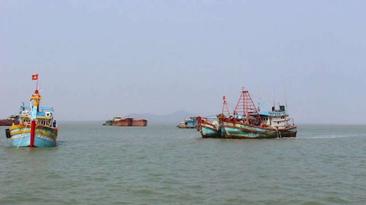 Trải nghiệm phà biển Vũng Tàu với chi phí hợp lý