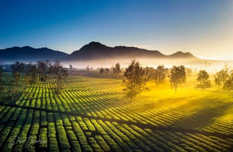 Vẻ đẹp hoang sơ của Đồng Che Biển Hồ