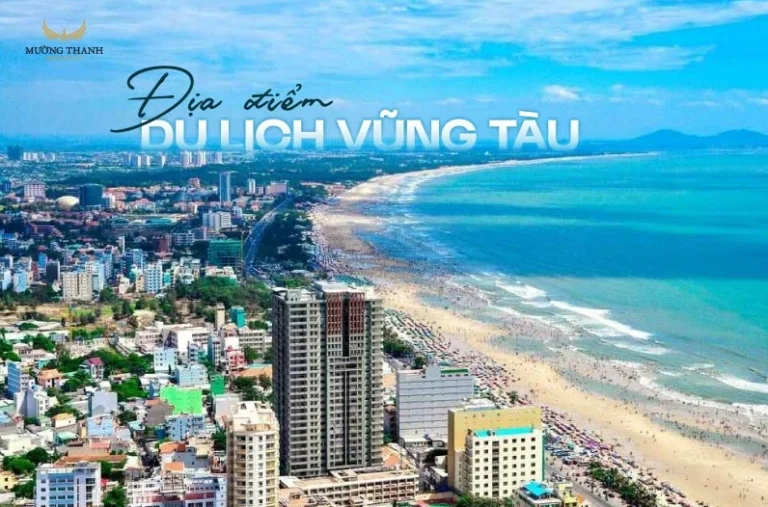 Vũng Tàu: Khám phá Top 20+ địa điểm vui chơi, ăn uống và nghỉ dưỡng 2026