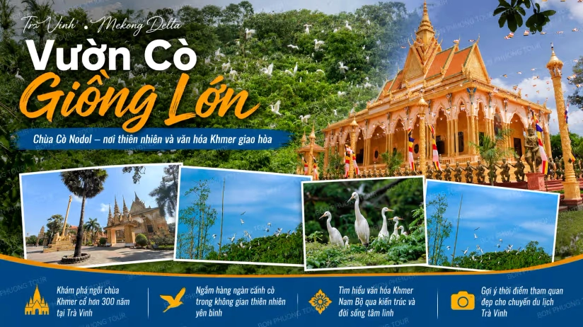 Vườn Cò Giồng Lớn và Chùa Cò Nodol Trà Vinh