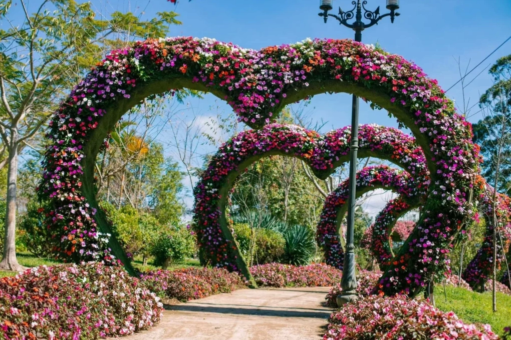 Vườn Hoa Thành Phố Đà Lạt
